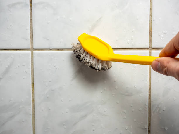 Best Residential Mold Removal  in Emah, OK