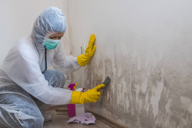 Best Mold Testing  in Emah, OK