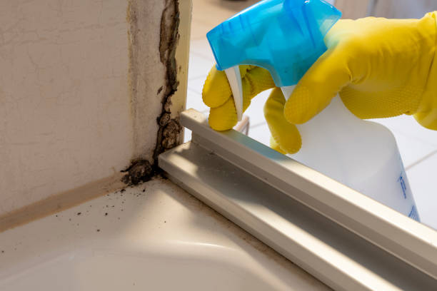 Best Mold Remediation Experts  in Emah, OK