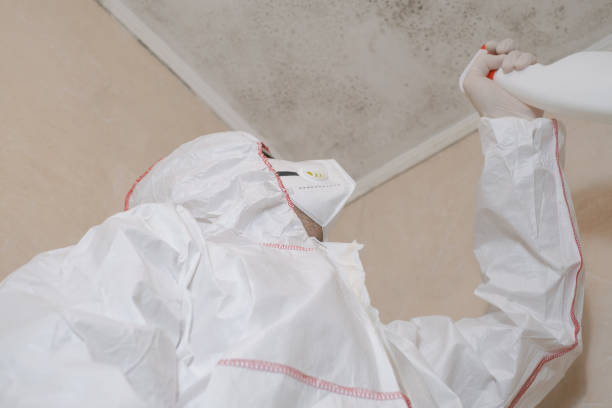 Best Emergency Mold Removal  in Emah, OK