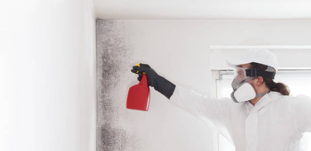Best Mold Testing  in Emah, OK