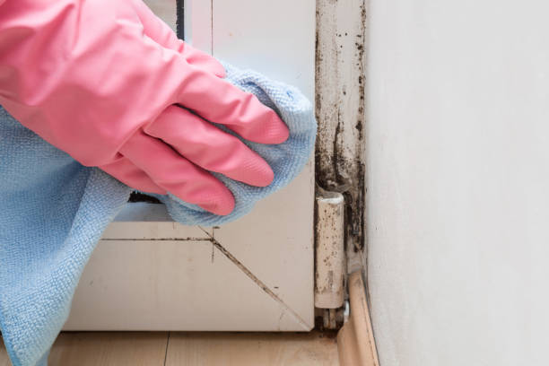 Best Residential Mold Removal  in Emah, OK